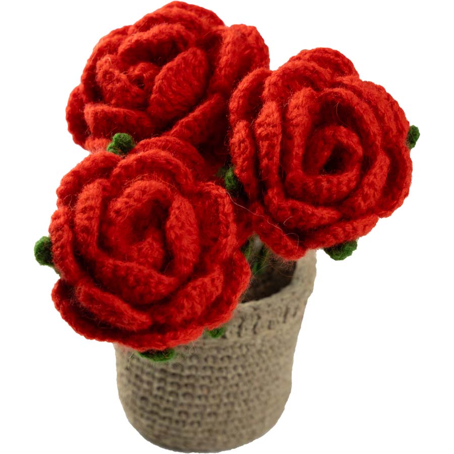 Knitted Plant