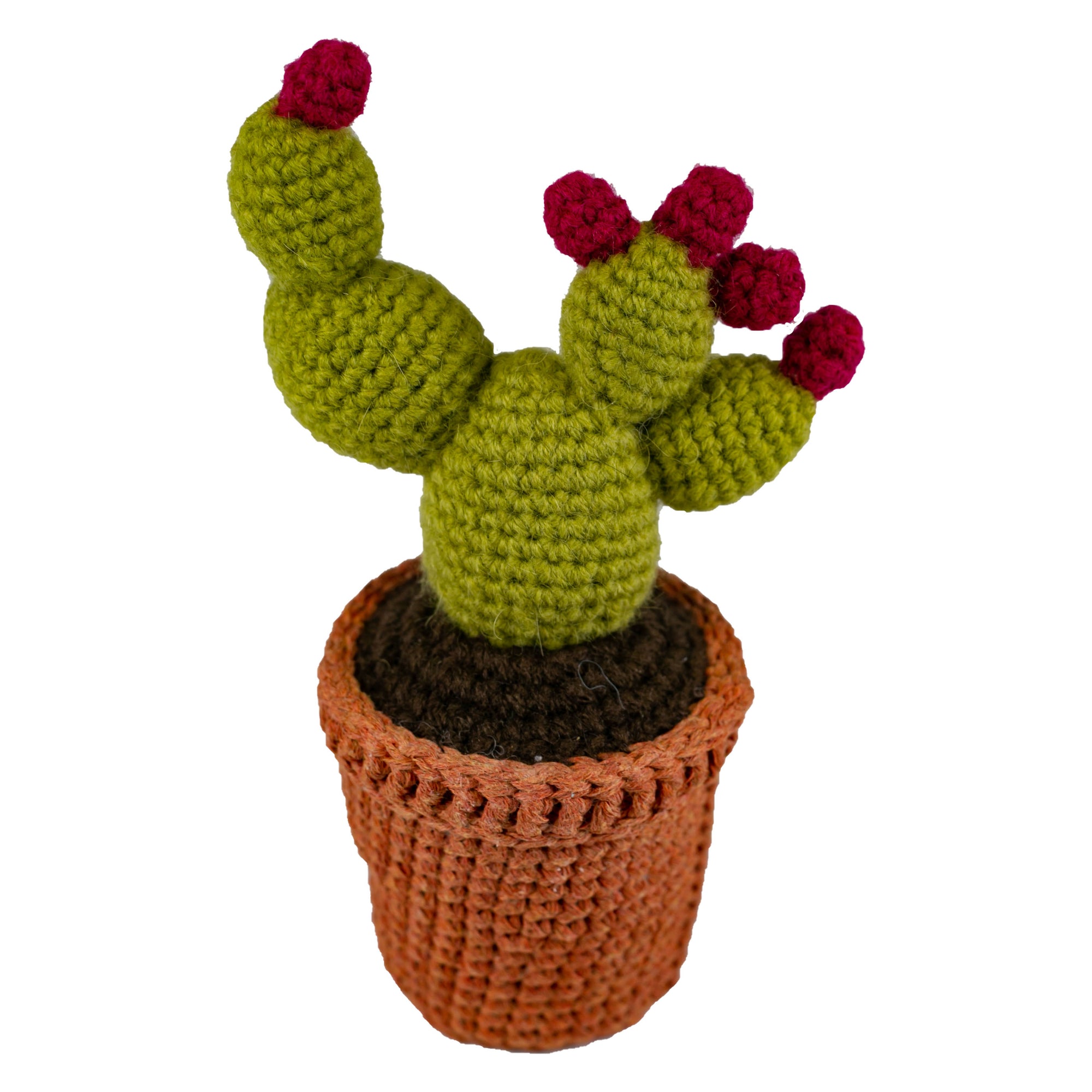 Knitted Plant